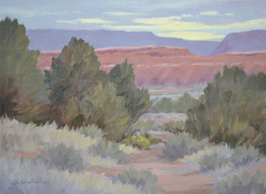 Desert Junipers